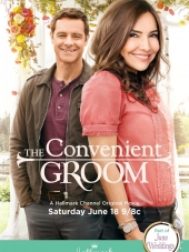 Подходящий жених / The Convenient Groom [2016, HDTVRip]