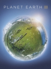 BBC: Планета Земля 2 / Planet Earth II [2016, BDRip] [e01-06]