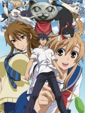 Кошачьи Прихоти / Nyan Koi! [2009, 1080] [TV]