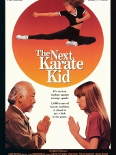 Парень-каратист 4 / Еще один малыш-каратист / The Next Karate Kid [1994, BDRip]