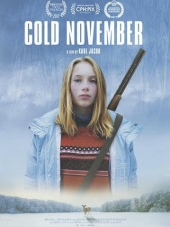 Холодный Ноябрь / Cold November [2017, WEBRip]