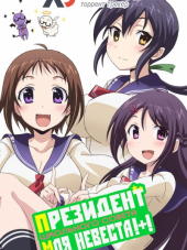 Президент школьного совета моя невеста 2 / Okusama ga Seitokaichou! Plus! 2 [2016, 720] [TV 2]