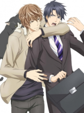 Лучшая в мире первая любовь: Случай с Ёкодзавой Такафуми / Sekaiichi Hatsukoi Movie: Yokozawa Takafumi no Baai [2014, 720] [Movie]