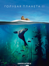 Голубая планета 2 / Blue Planet II [2017, BDRip] [s02]
