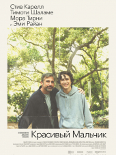 Красивый мальчик / Beautiful Boy [2018, WEBRip]