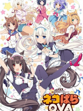 Кошачий рай / Nekopara [2018, BDRip] [OVA]