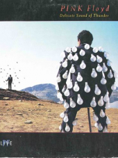Pink Floyd - Delicate Sound Of Thunder [Vinyl-Rip 24-bit] (1988) FLAC