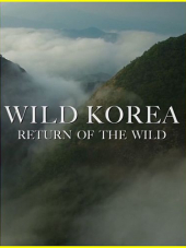 Дикая Корея / Wild Korea Return of the wild [2018, HDTV] [s02]