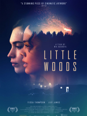 Лесок / Little Woods [2018, WEB-DLRip]