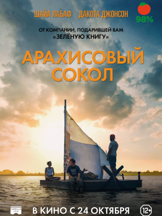 Арахисовый сокол / The Peanut Butter Falcon [2019, DVDRip]
