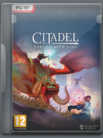 Citadel: Forged with Fire [2019, RUS/MULTI] [RePack]