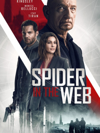 Старые шпионские игры / Spider in the Web [2019, BDRip]