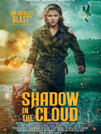 Воздушный бой / Shadow in the Cloud [2020, WEB-DLRip]