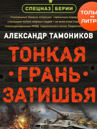 Александр Тамоников - Тонкая грань затишья (2020) MP3