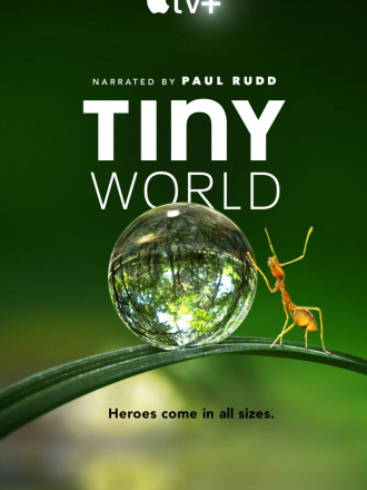 Крошечный мир / Tiny World [2020, WEB-DL] [s01]