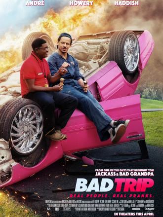 Бэд трип / Приколисты в дороге / Bad Trip [2020, WEB-DLRip]