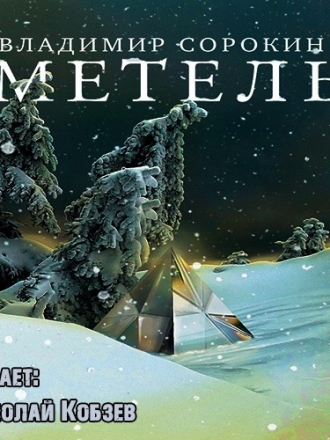 Владимир Сорокин - Метель (2010) (2020) MP3
