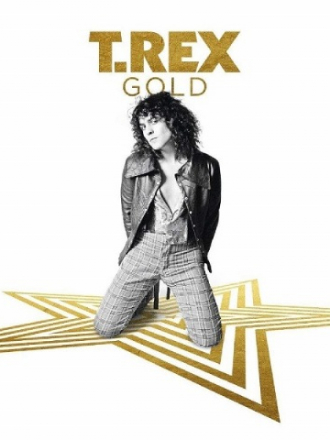T.Rex - Gold [3CD Box Set] (2018) FLAC