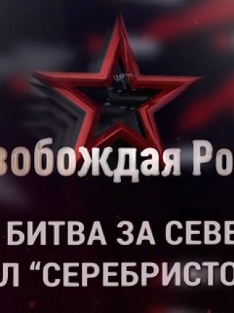 Освобождая Родину. Битва за Север: провал Серебристой лисы [2019, SATRip] [e01-02]