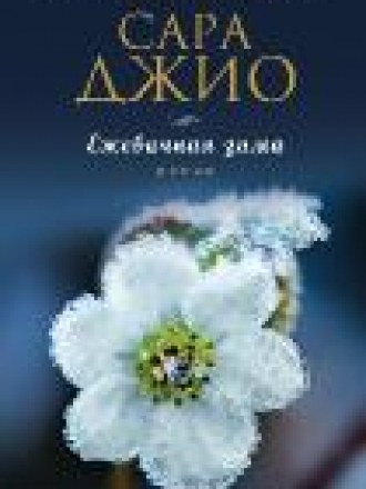 Джио Сара - Ежевичная зима (2014) fb2