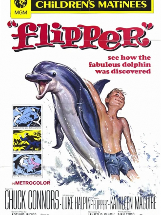 Флиппер / Flipper [1963, DVDRip]