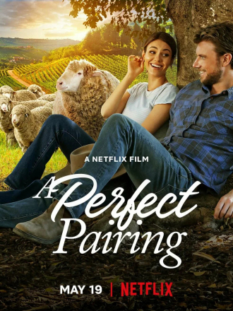 Идеальное сочетание / A Perfect Pairing [2022, WEB-DL]