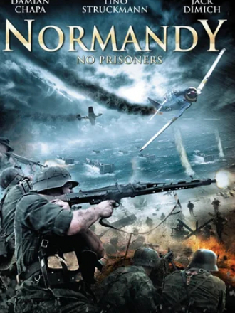 Красная роза Нормандии / Red Rose of Normandy [2011, BDRip]