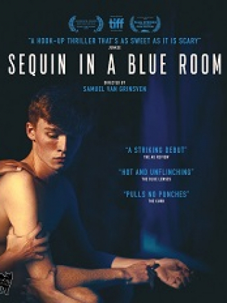 Блестки в голубой комнате / Sequin in a Blue Room [2019, WEB-DLRip]