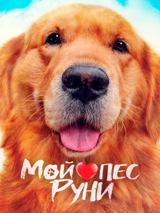 Мой пёс Руни / Meongmongi / My Heart Puppy [2022, WEB-DL]