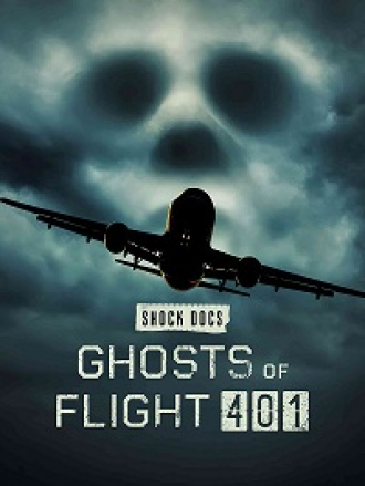 Призраки рейса 401 / Ghosts of Flight 401 [2022, WEB-DL]