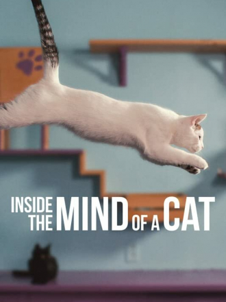 Внутри разума кошки / Inside the Mind of a Cat [2022, WEB-DL]