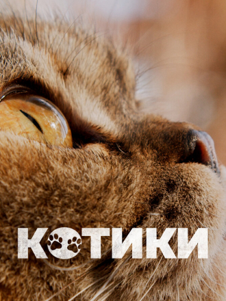 Котики / Cat Daddies [2022, WEB-DL]
