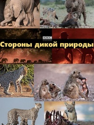 Стороны дикой природы / The Wild Sides [2023, WEB-DL]