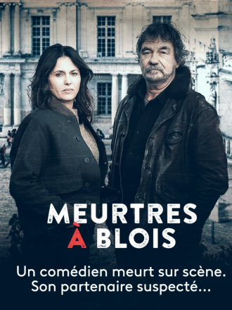 Убийства в Блуа / Meurtres a Blois [2022, DVB]