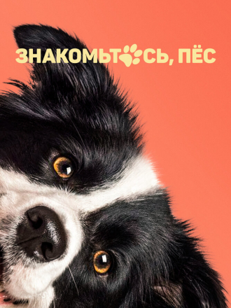 Знакомьтесь, пёс / Rekni to psem [2022, WEB-DL]