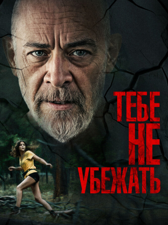 Тебе не убежать / You Can't Run Forever [2024, BDRip]