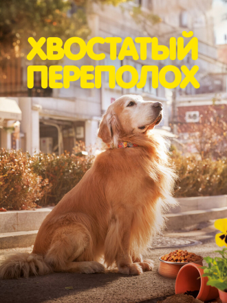 Хвостатый переполох / Dogeu deijeu / Dog Days [2024, WEB-DL]