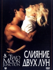 Слияние двух лун / Two Moon Junction [1988, BDRip]