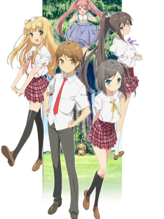 Принц хентая и угрюмая кошка / Hentai Ouji to Warawanai Neko (2013) скачать торрент