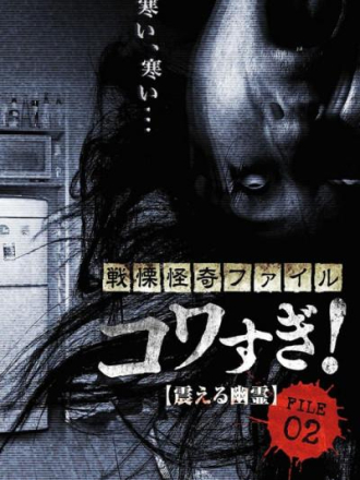 Ужасающие материалы, файл 2: Дрожащий призрак / Senritsu Kaiki File Kowasugi File 02: Shivering Ghost [2012, WEB-DL]