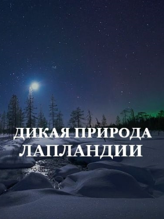 Дикая природа Лапландии / Arctic Wildlife in Lapland [2024, HDTV] [e01-03]