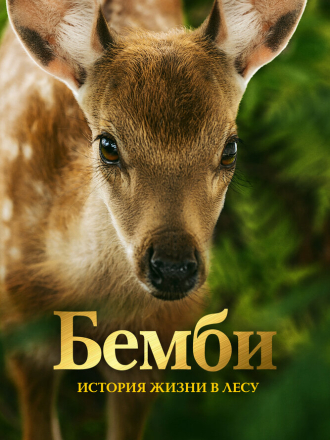 Бемби. История жизни в лесу / Bambi, l'histoire d'une vie dans les bois [2024, WEB-DL]