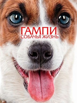 Гампи. Собачья жизнь / Gump - Jsme dvojka [2024, WEB-DL]