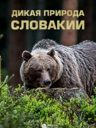 Дикая природа Словакии / Wild Slovakia [2015, WEB-DL]