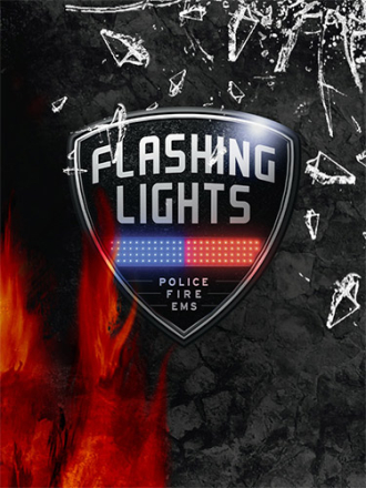 Flashing Lights: Police, Firefighting, Emergency Services Simulator - Chief Edition [2023, RUS/MULTI] [RePack]