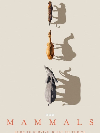 Млекопитающие / Mammals (2024) скачать торрент