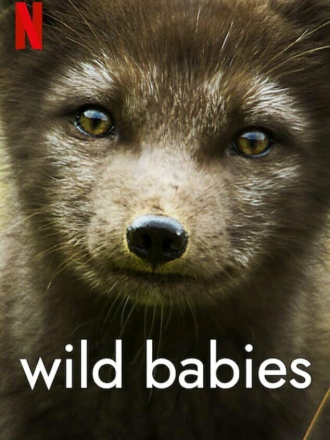 Детки не в клетке / Wild Babies [2022, WEB-DL] [s01]