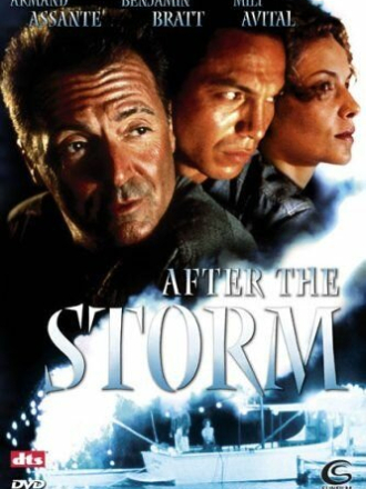 После шторма / After the Storm [2001, WEB-DL]