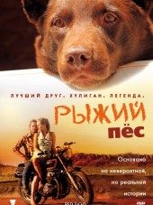 Рыжий пес / Red Dog [2011, BDRip]