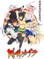 Ниндзя бунтарки / Senran Kagura [2013, 720] [TV]